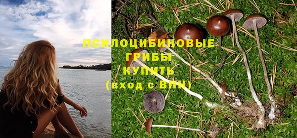 марки nbome Белокуриха