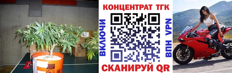 ОМГ ОМГ ONION  Кунгур  ТГК Wax 