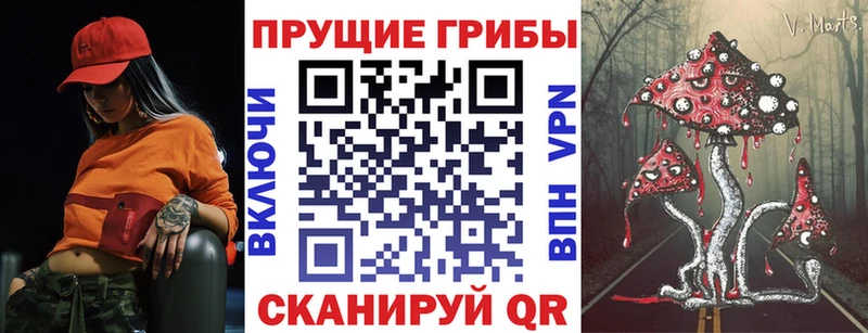 Галлюциногенные грибы мицелий  Кунгур 